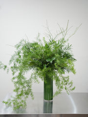 Verdant Grace