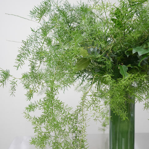 Verdant Grace