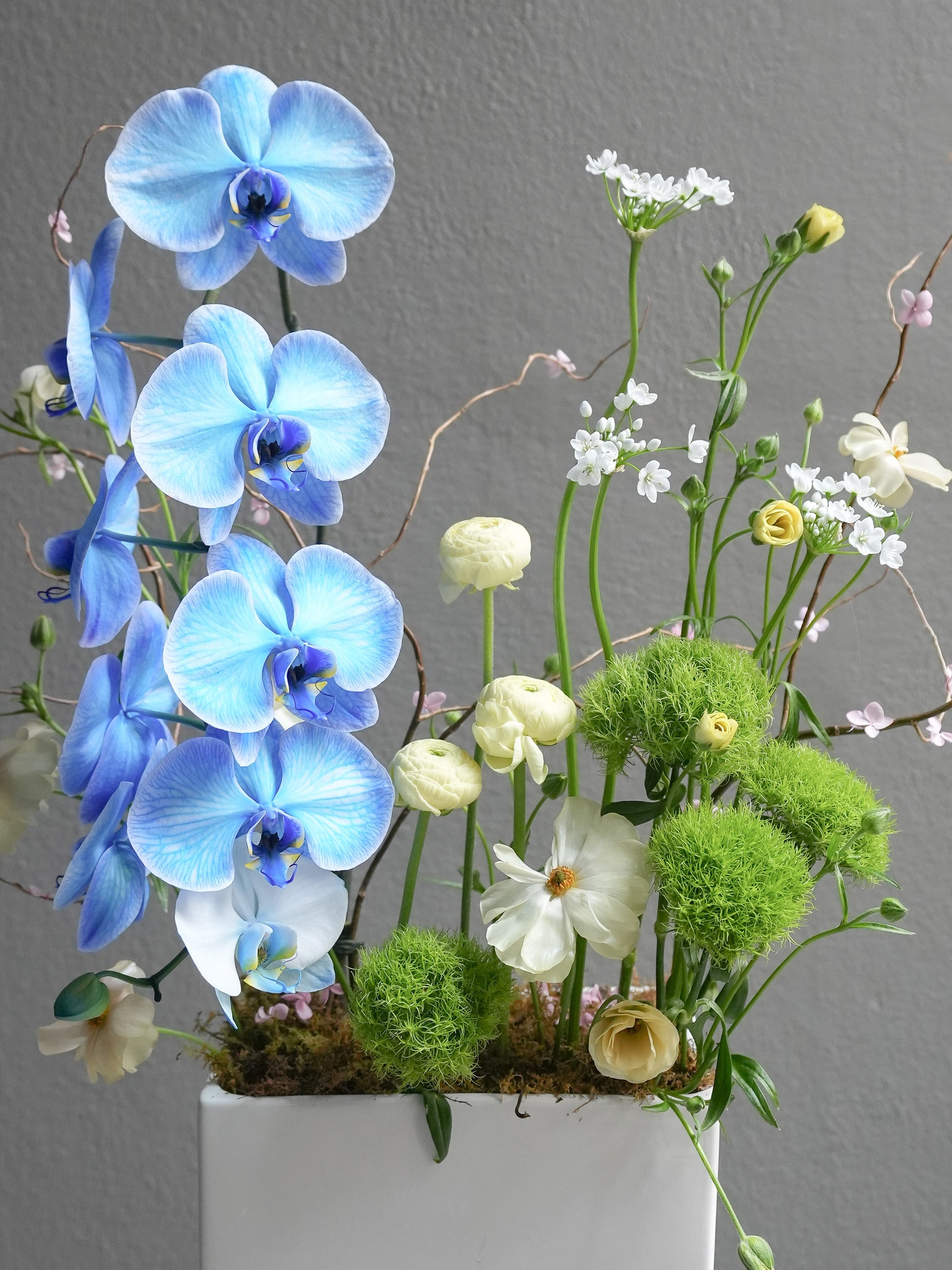 Spring Orchid Arrangement