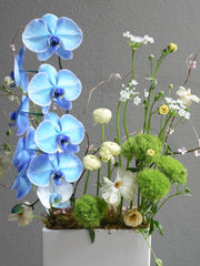 Spring Orchid Arrangement