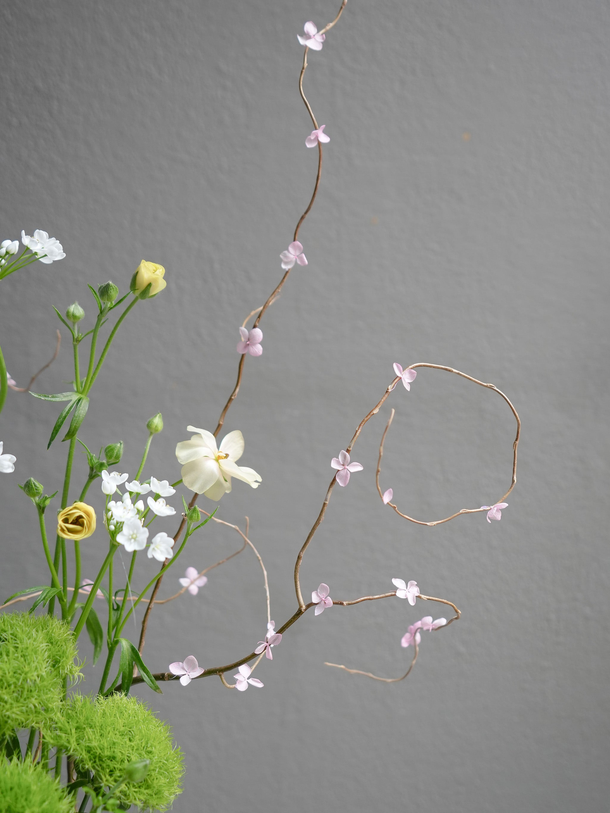 Spring Orchid Arrangement