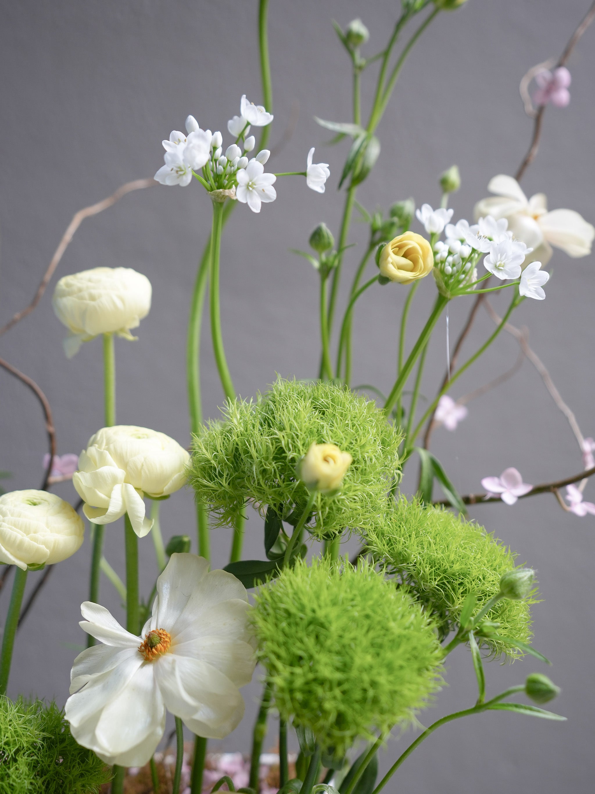 Spring Orchid Arrangement