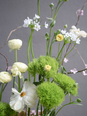Spring Orchid Arrangement