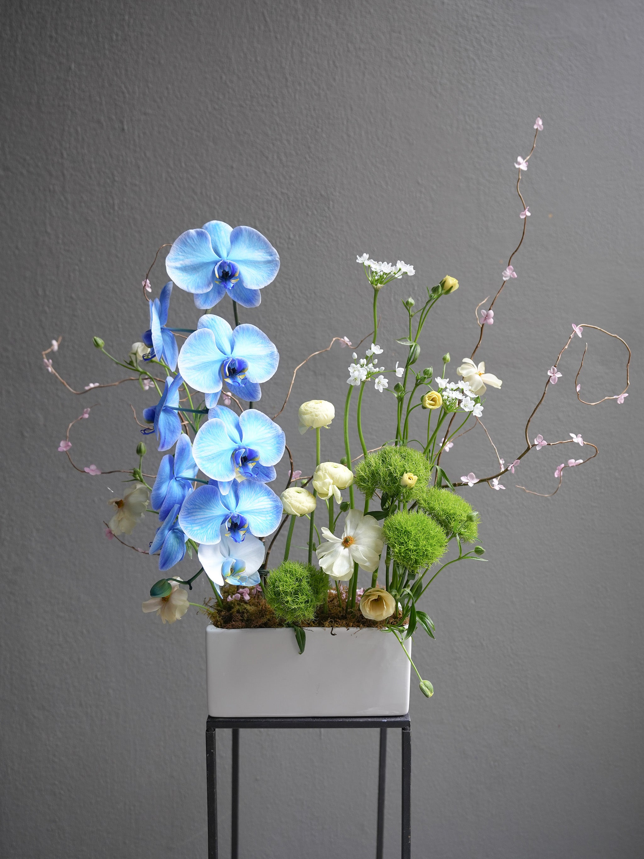 Spring Orchid Arrangement