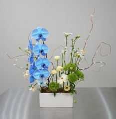 Spring Orchid Arrangement