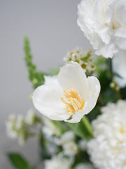 White Eclipse