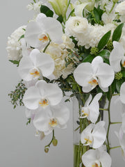 Pure Centerpiece