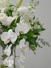 Pure Centerpiece