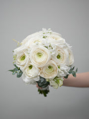 Luminous Love