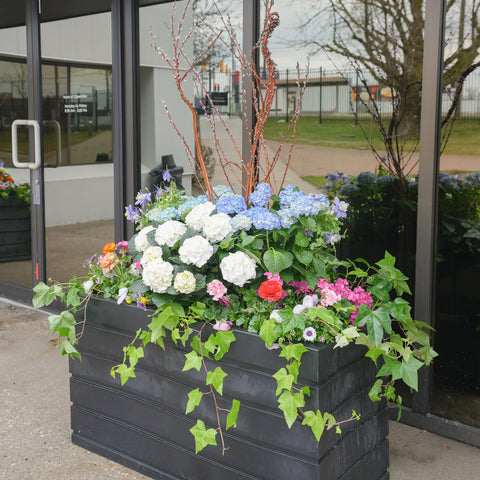 Botanica Outdoor