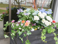 Botanica Outdoor
