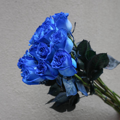 Blue Rose