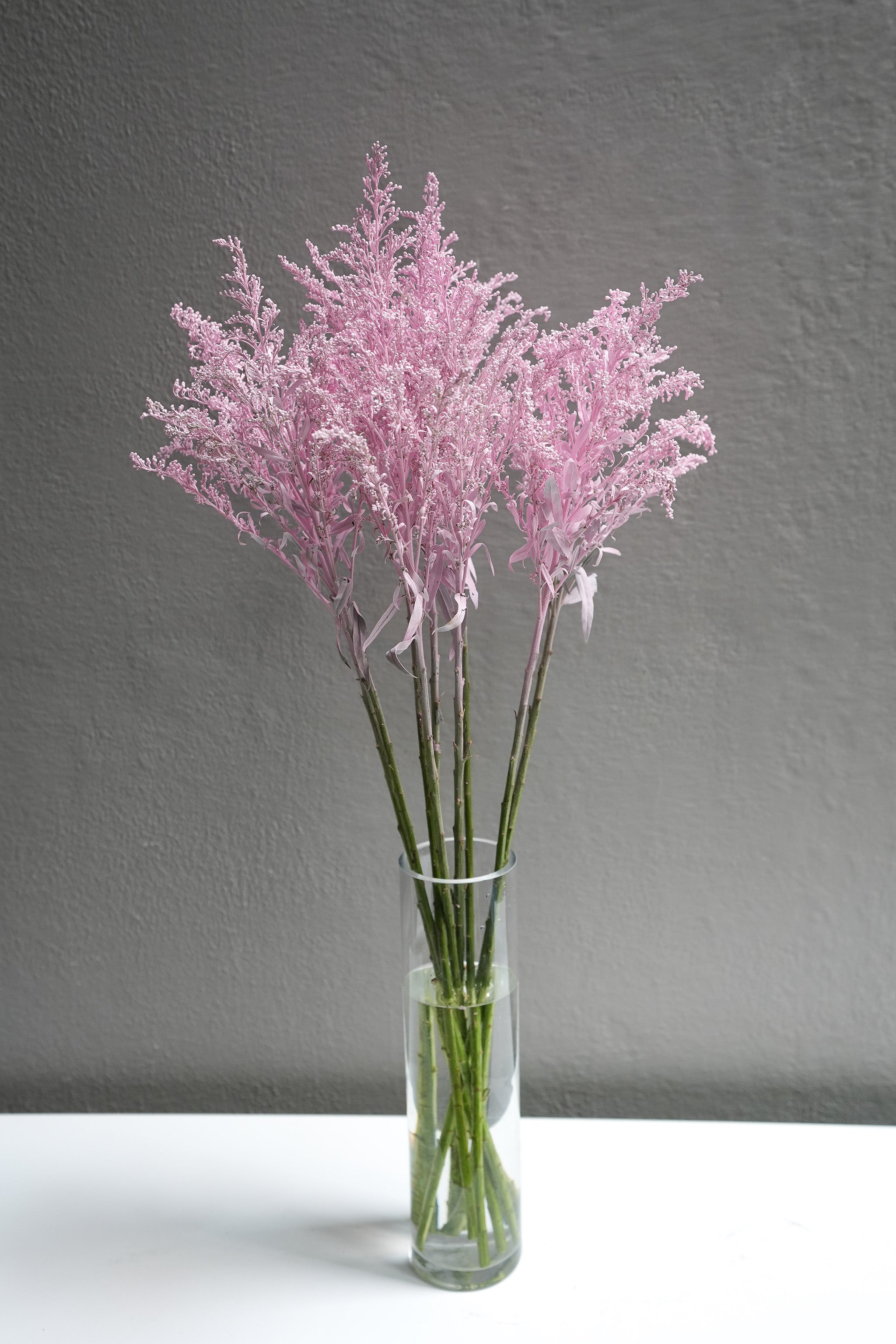 Aster Solidago (Died color)