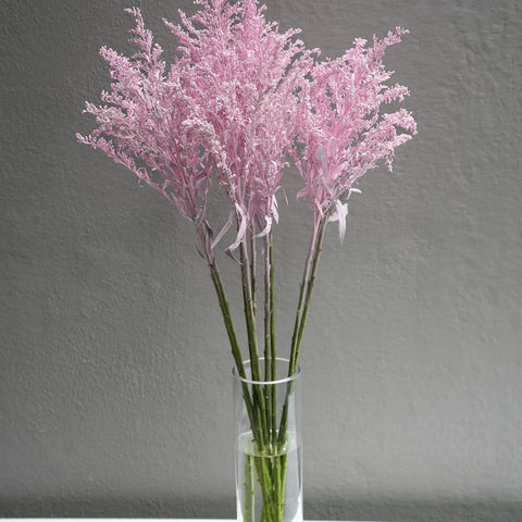 Aster Solidago (Dyed color)