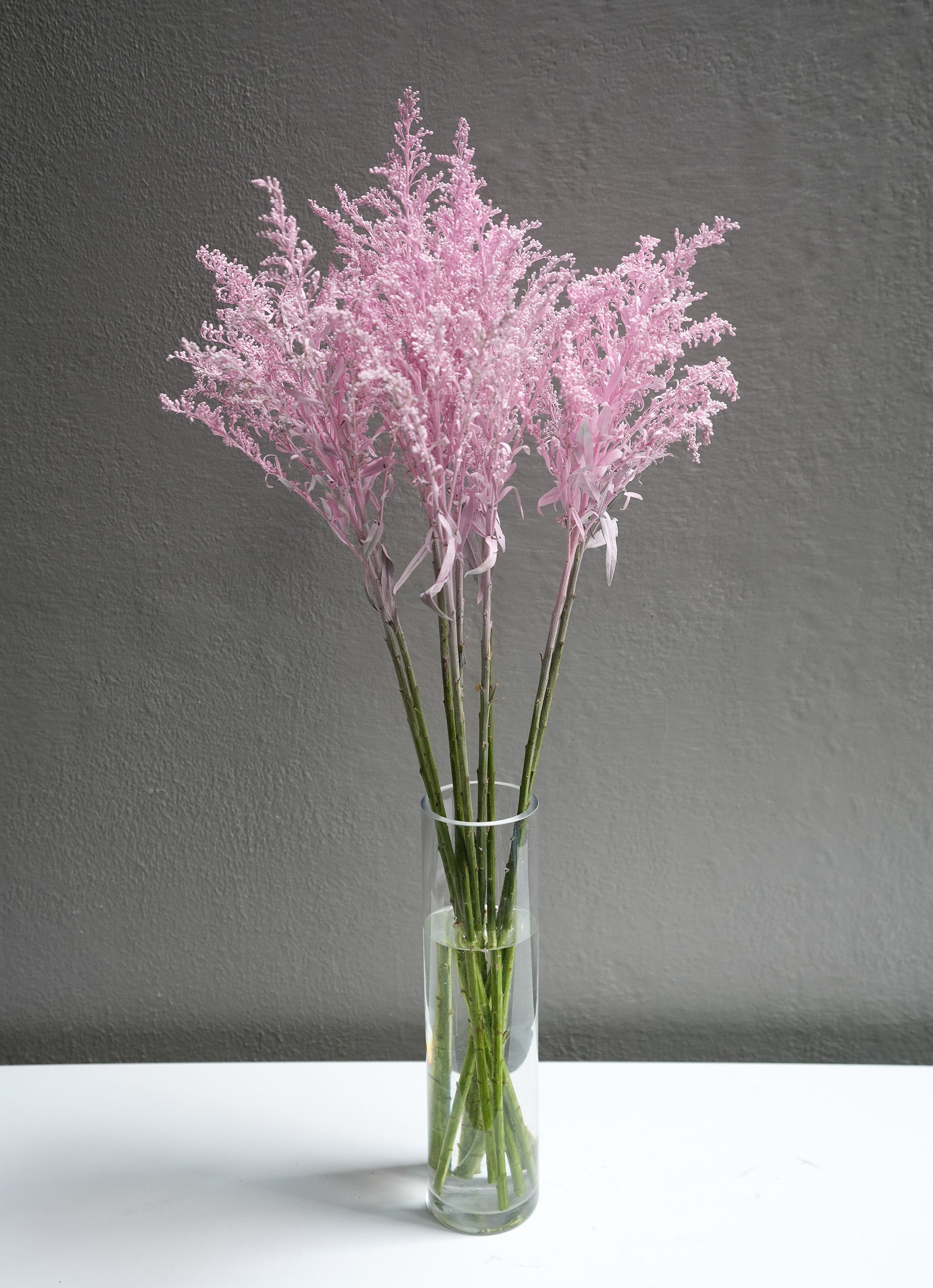 Aster Solidago (Died color)