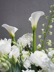 Pearl Garden