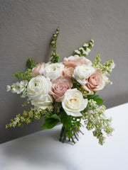 Blush Rose Dream