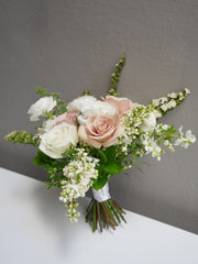 Blush Rose Dream