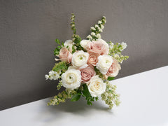 Blush Rose Dream
