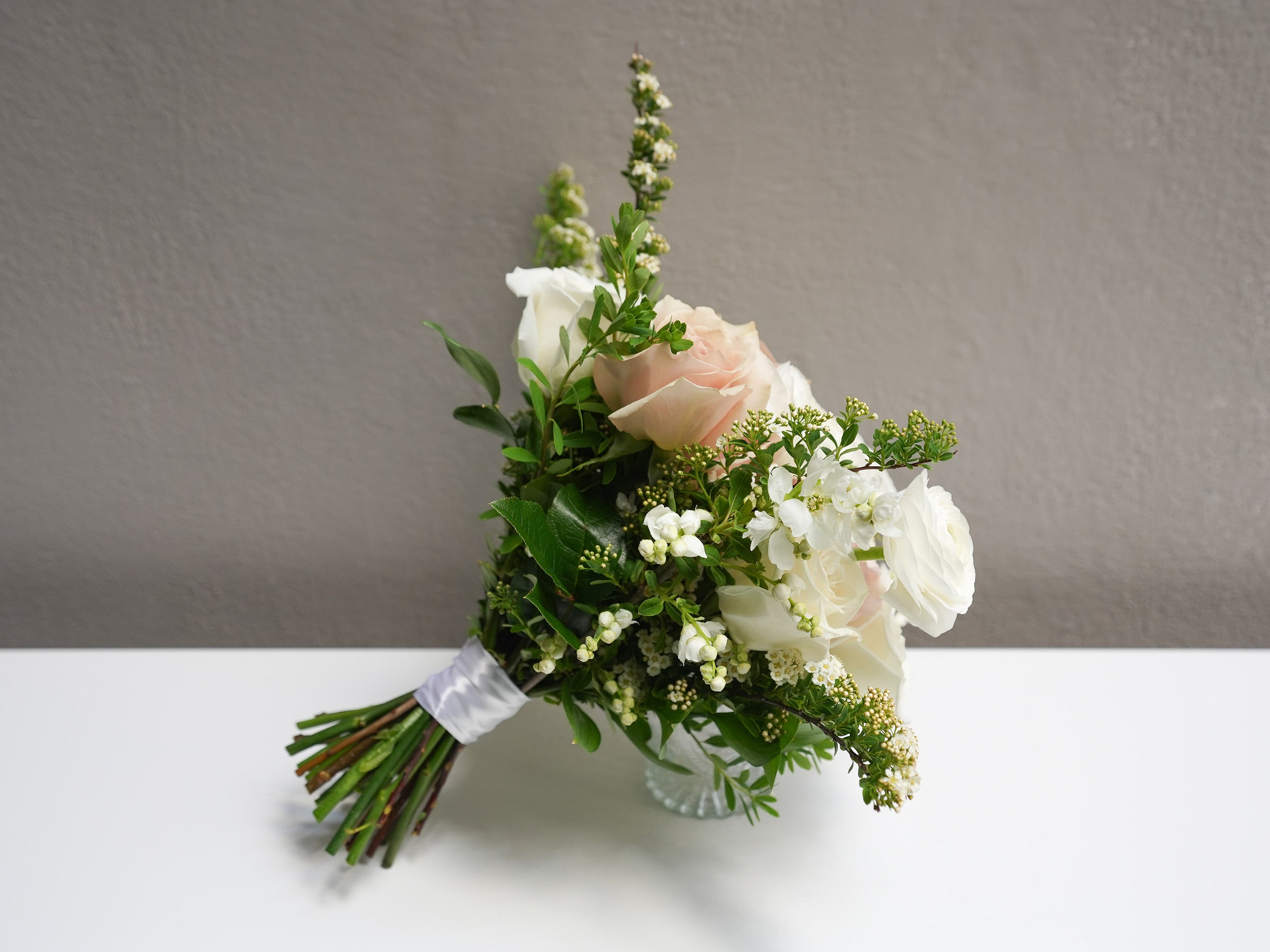Blush Rose Dream