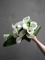 Lilyfall