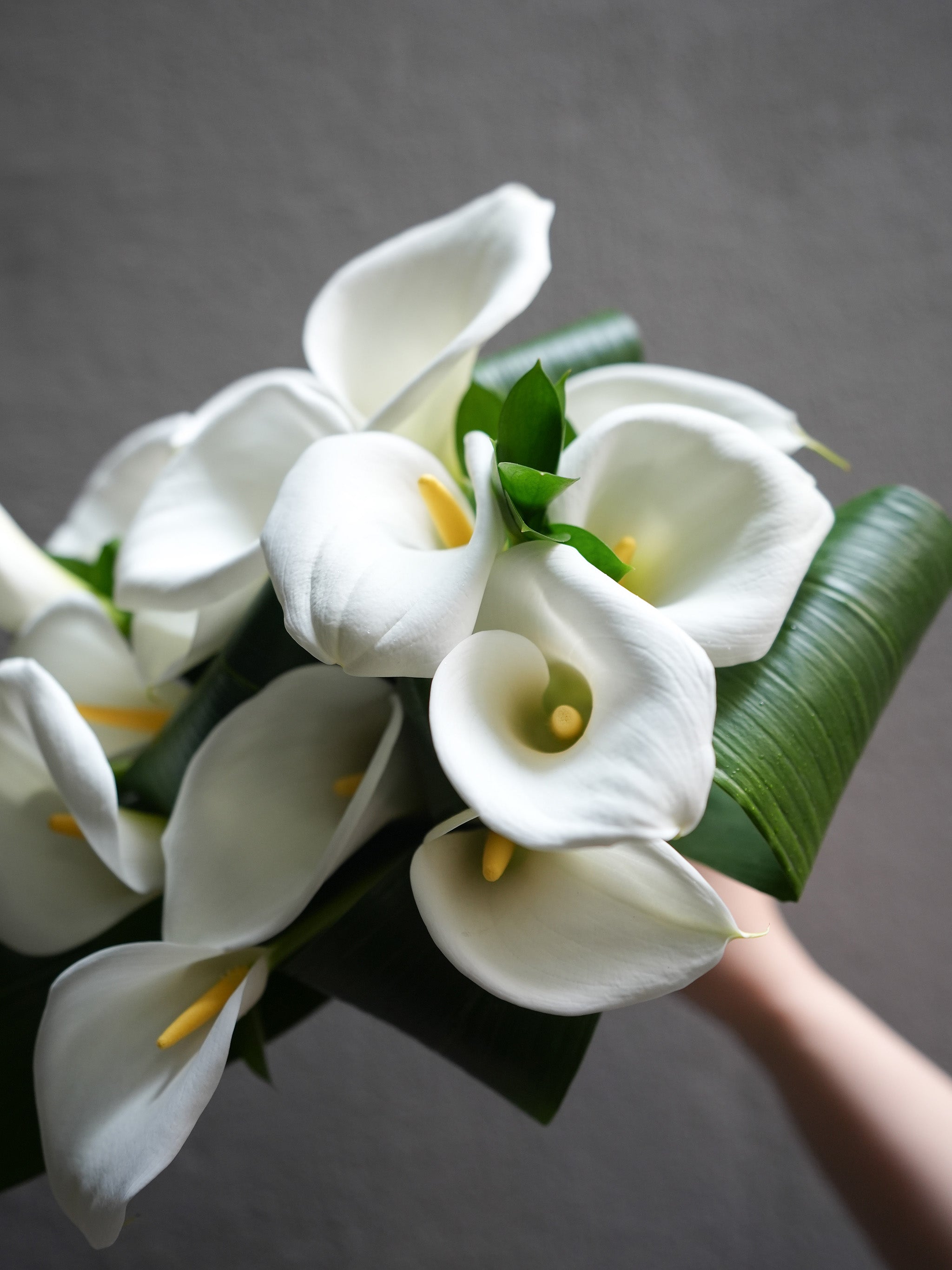 Lilyfall