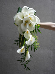 Lilyfall