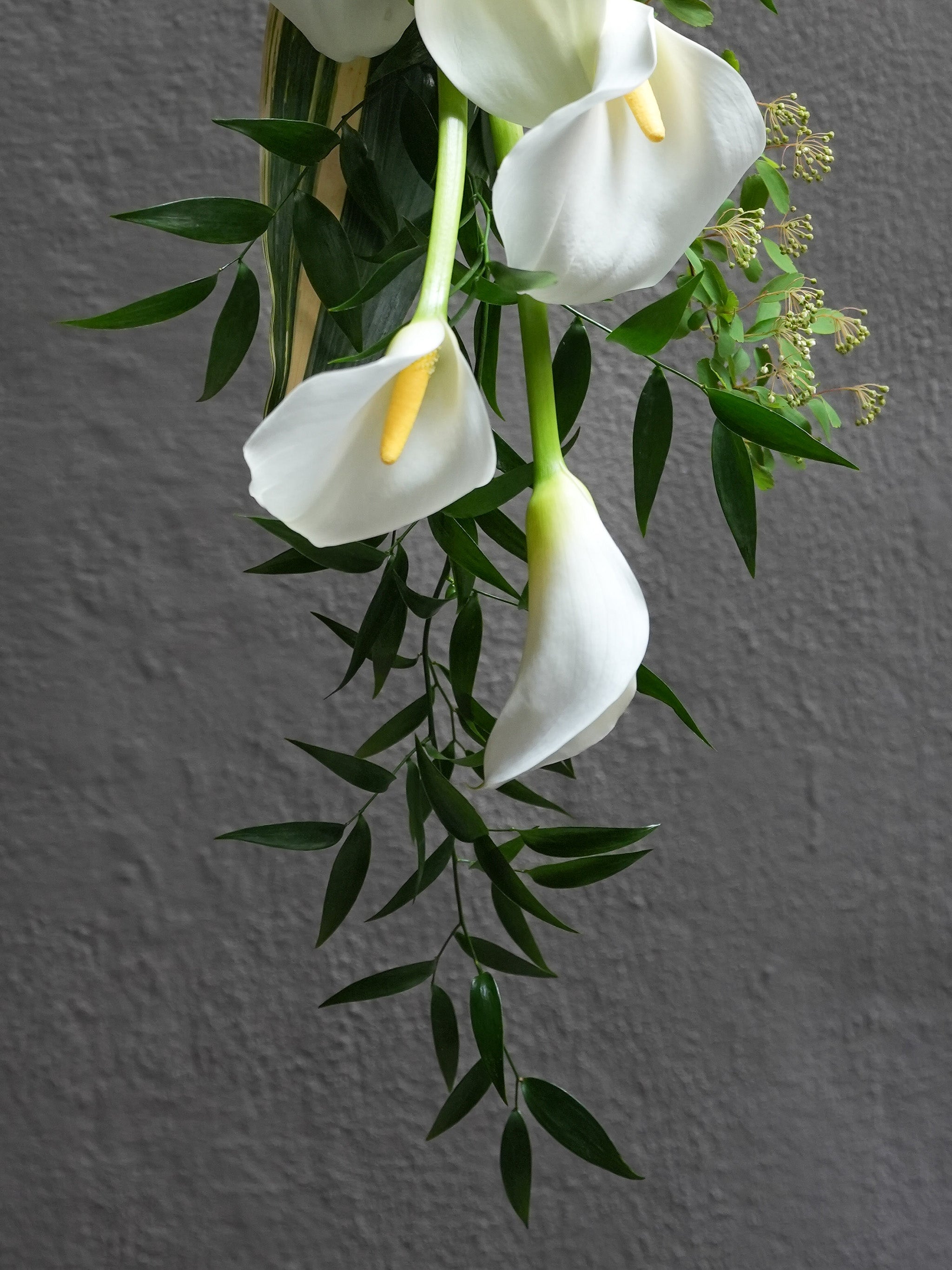 Lilyfall