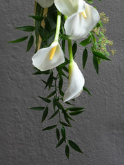 Lilyfall