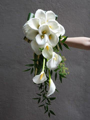 Lilyfall