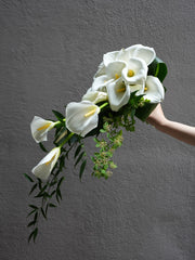 Lilyfall