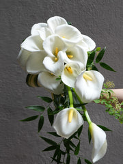 Lilyfall