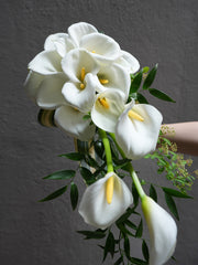 Lilyfall