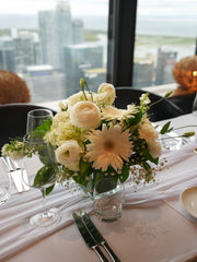 Celestial Ivory