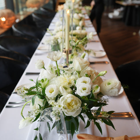 Celestial Ivory