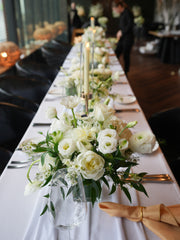 Celestial Ivory
