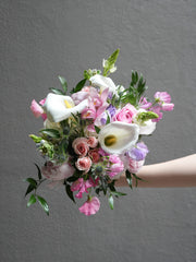 Timeless Pink