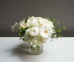 Ivory Light