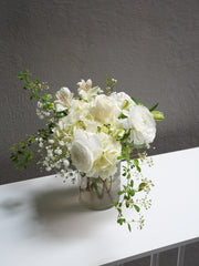 Ivory Light