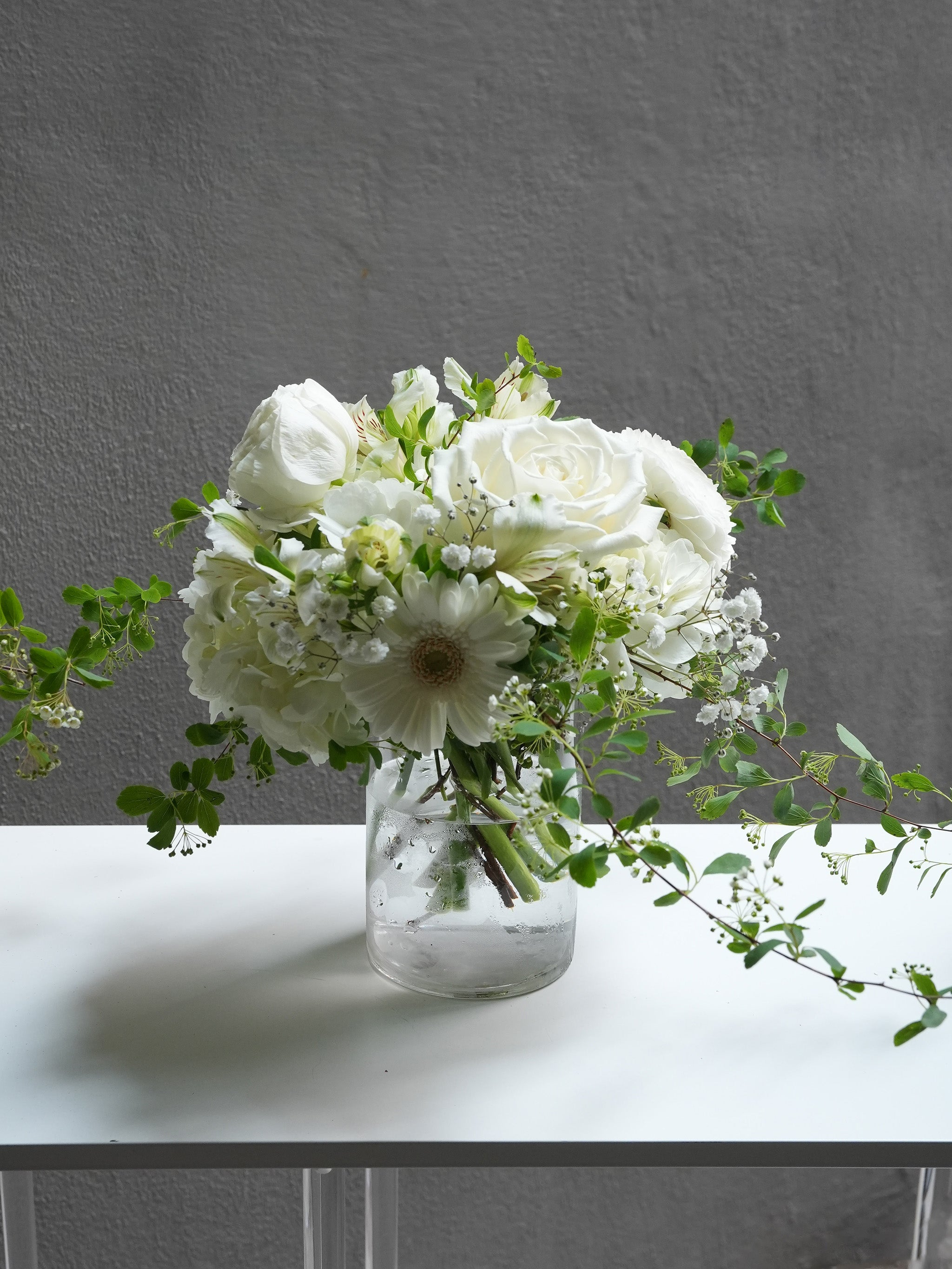 Ivory Light