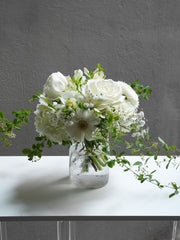 Ivory Light
