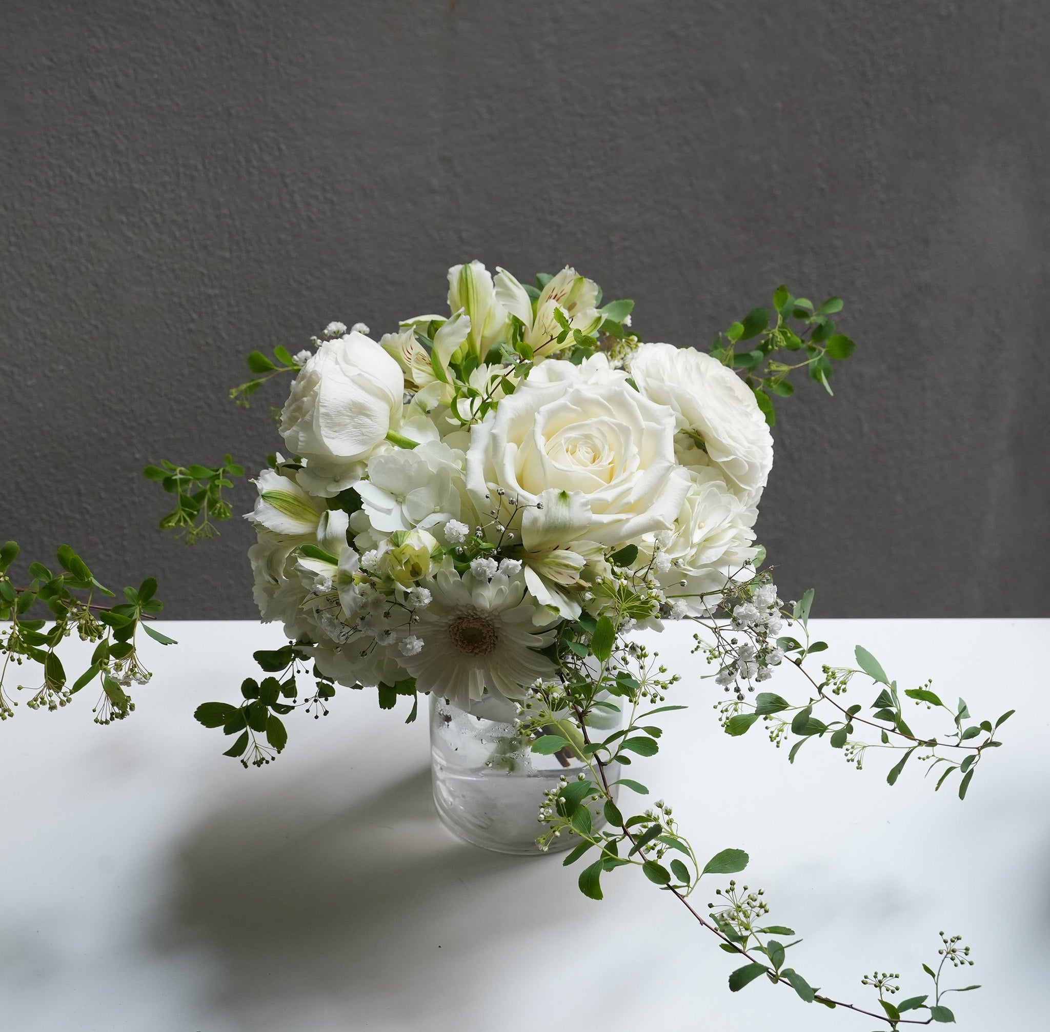 Ivory Light