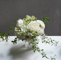 Ivory Light