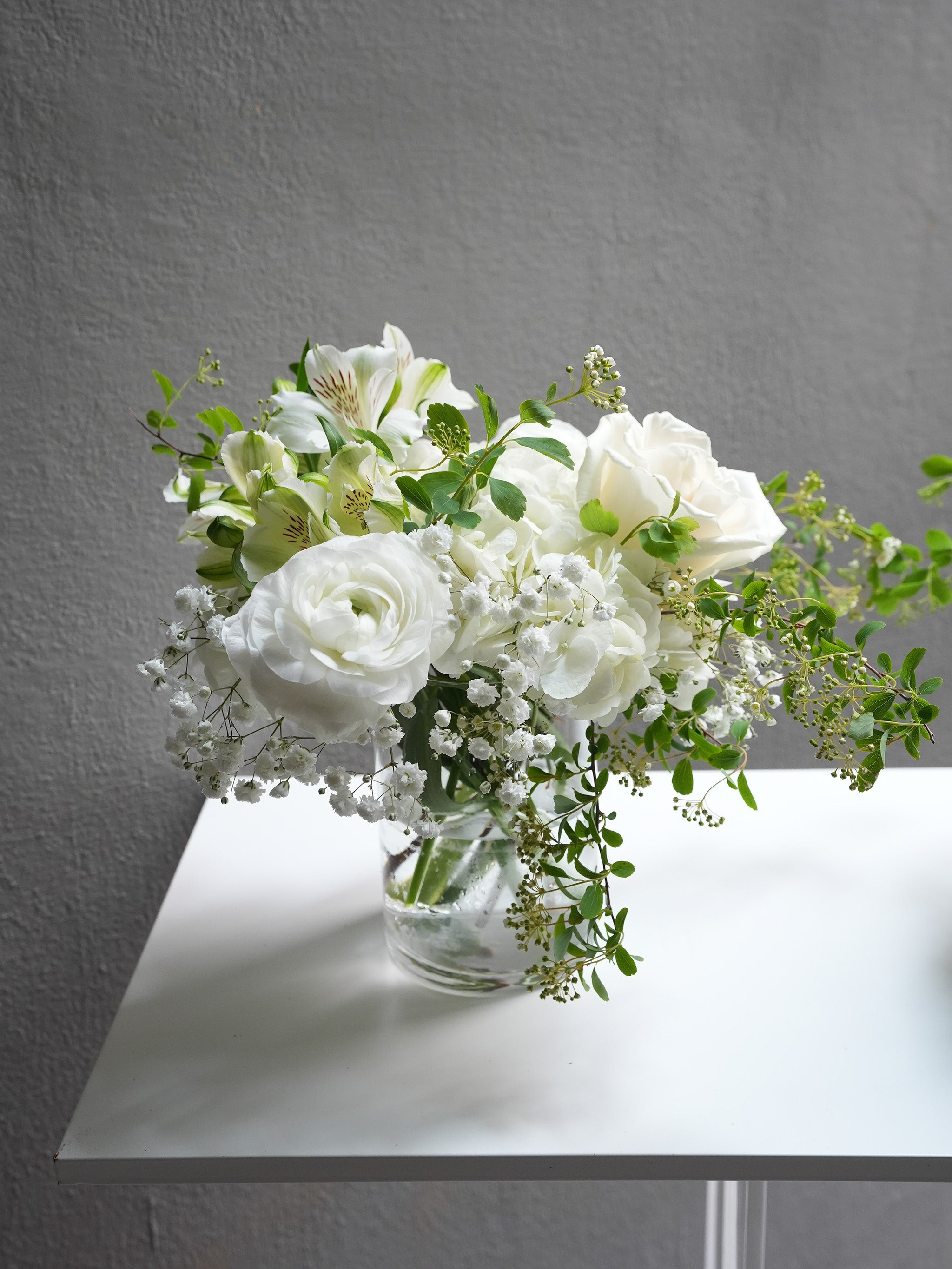 Ivory Light