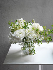 Ivory Light
