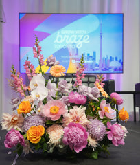 Lively Grace