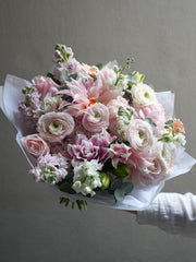 Apricot Dream