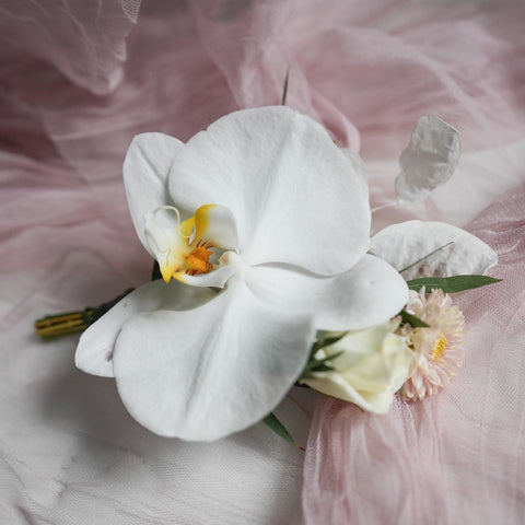 Luminous Grace