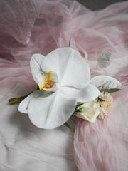 Luminous Grace