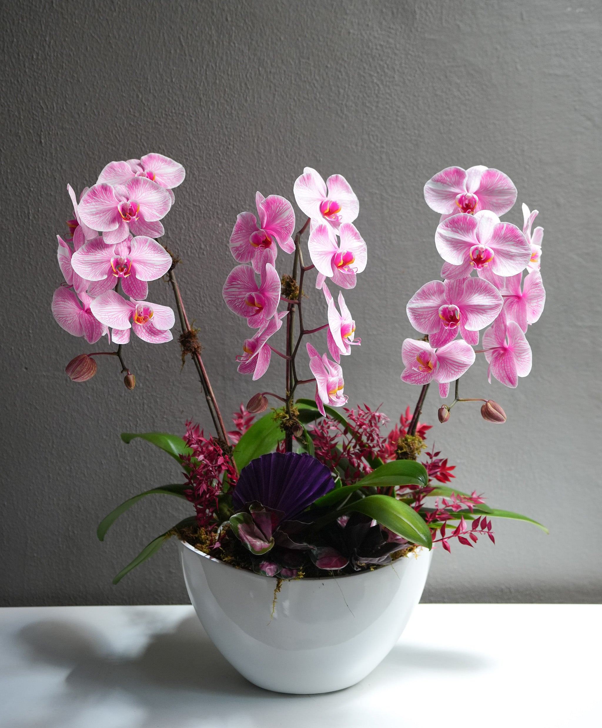 Pink Serenity